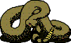 snake