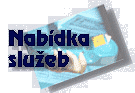 Nabdka slueb