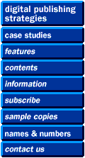 digital publishing strategies navigation bar