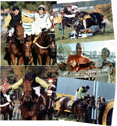 Velk pardubick