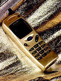 The golden Nokia 3110
