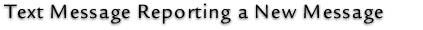 Text Message Reporting a New Message