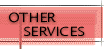 OTHER SERVICES