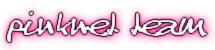 PinkNET Team